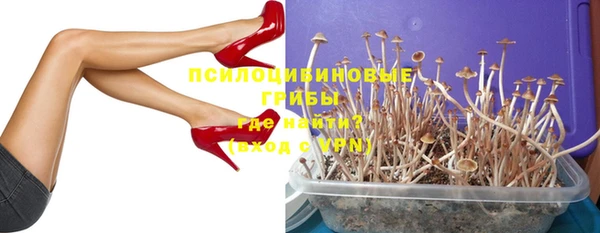 ПСИЛОЦИБИНОВЫЕ ГРИБЫ Абаза