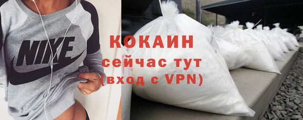 ПСИЛОЦИБИНОВЫЕ ГРИБЫ Абаза