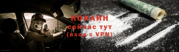 ПСИЛОЦИБИНОВЫЕ ГРИБЫ Абаза