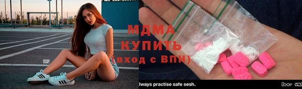 индика Алексин