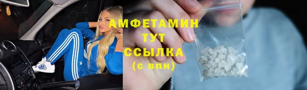 ПСИЛОЦИБИНОВЫЕ ГРИБЫ Абаза